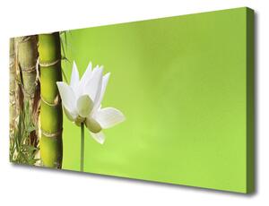 Tablou pe panza canvas Bamboo peduncul Floral Verde Alb