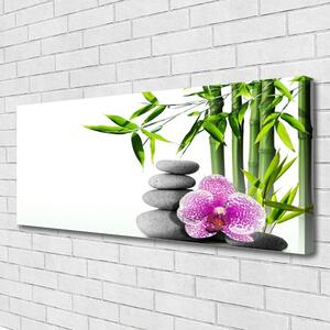 Tablou pe panza canvas Bambus Cane flori Stones Floral Verde Roz Gri