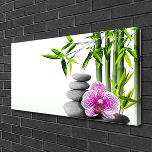 Tablou pe panza canvas Bambus Cane flori Stones Floral Verde Roz Gri