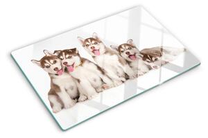 Tocător din sticlă Căței husky