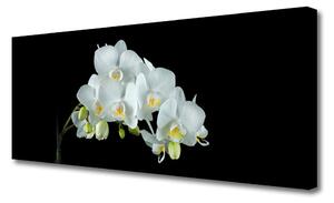 Tablou pe panza canvas Flori Floral alb