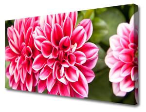 Tablou pe panza canvas Flori Floral Roșu Alb