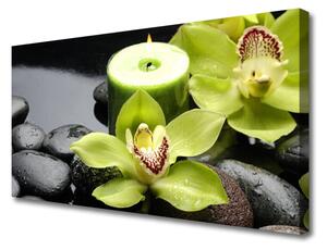 Tablou pe panza canvas Pietre florale flori verde negru