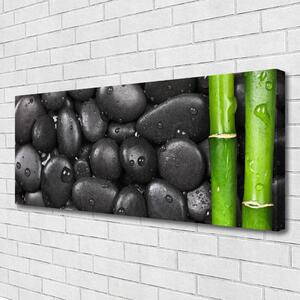 Tablou pe panza canvas Bamboo Stalk Stones Arta Verde Negru
