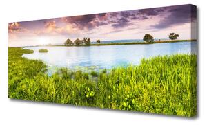Tablou pe panza canvas Grass Lake Natura Verde Albastru