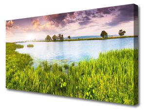 Tablou pe panza canvas Grass Lake Natura Verde Albastru