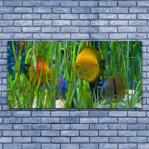 Tablou pe panza canvas Pește Natura galben