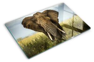 Tocător sticlă Un elefant pe fundalul savanei africane