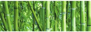 Decor faianță Savona Bamboo 25x75 cm