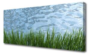 Tablou pe panza canvas Iarbă Apa Natura Verde Albastru