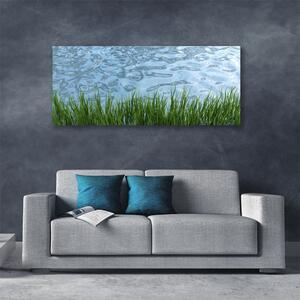Tablou pe panza canvas Iarbă Apa Natura Verde Albastru
