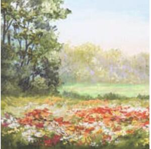 Tablou canvas Poppy Field 40x40 cm