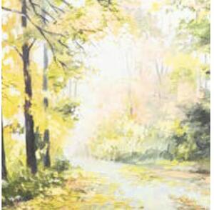 Tablou canvas Autumn Forest 40x40 cm