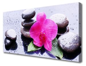 Tablou pe panza canvas Pietrele de flori Art Rosu Negru