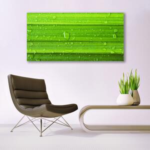 Tablou pe panza canvas Iarbă Natura verde