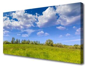 Tablou pe panza canvas Meadow Grass Peisaj verde