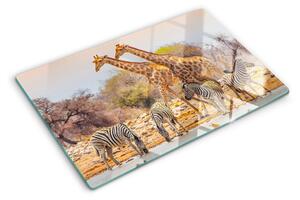 Tocător din sticlă Zebră și girafă în habitatul lor natural