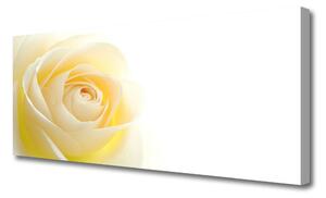 Tablou pe panza canvas Rose Floral Alb Galben
