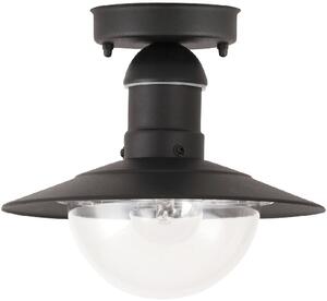 Rabalux Oslo plafoniera de exterior 1x60 W negru 8716