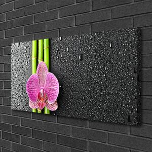 Tablou pe panza canvas Bamboo Tube floare verde florale roz