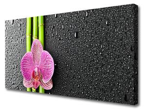 Tablou pe panza canvas Bamboo Tube floare verde florale roz