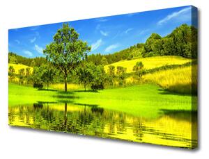 Tablou pe panza canvas Meadow copac Natura Verde Maro