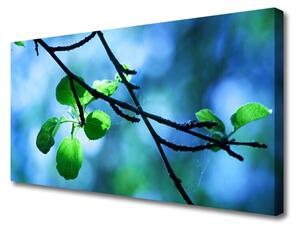 Tablou pe panza canvas Branch Frunze Floral Negru Verde
