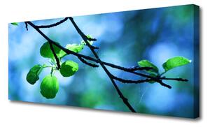 Tablou pe panza canvas Branch Frunze Floral Negru Verde