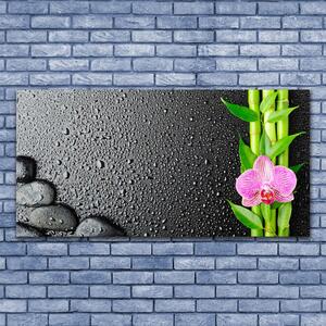 Tablou pe panza canvas Bamboo Peduncul flori Stones verde florale roz negru