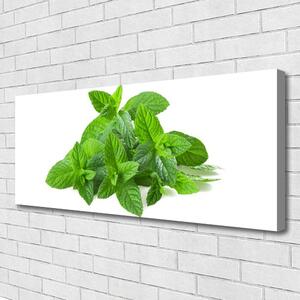 Tablou pe panza canvas Mint Green Floral