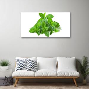 Tablou pe panza canvas Mint Green Floral