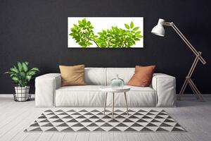 Tablou pe panza canvas Sucursale Frunze Floral verde maro