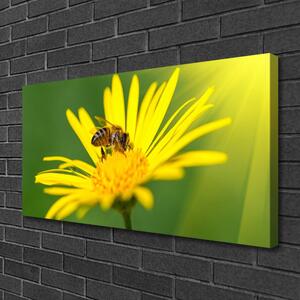 Tablou pe panza canvas Viespe florale flori negru galben