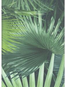Tapet vlies Crispy Paper frunze de palmier, verde 10,05x0,53 m
