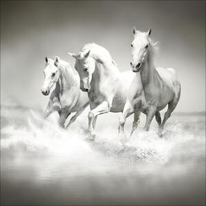 Tablou sticlă White Horses 30x30 cm