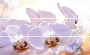 Decor faianță Viola, motiv orhidee, set 6 plăci, 60x100 cm