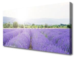 Tablou pe panza canvas Flori Meadow Natura Purple