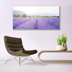 Tablou pe panza canvas Flori Meadow Natura Purple