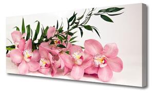 Tablou pe panza canvas Petale Floral Roz Verde
