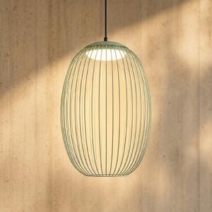 Lucande Lampa suspendată de exterior cu LED Richi, verde, 40 cm, dimabil, reglabil, Verde, Metal, Modern