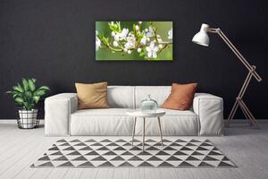 Tablou pe panza canvas Ramuri Flori Floral Verde Alb