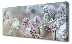 Tablou pe panza canvas Flori Floral Violet Alb