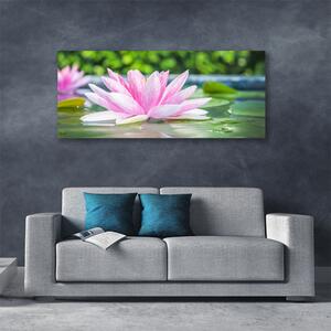 Tablou pe panza canvas Water Flower Art Roz Verde