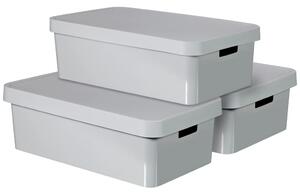 Curver 421849 "Infinity" Storage Box with Lid 3 pcs 30 L Grey 240681 240681