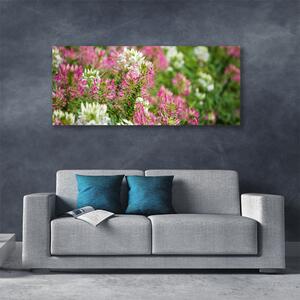 Tablou pe panza canvas Flori Floral Roz Alb Verde