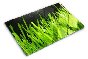Tocător din sticlă Iarbă verde cu picături de apă
