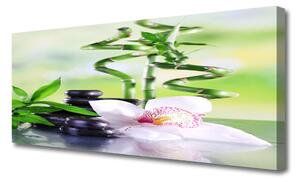 Tablou pe panza canvas Bambus Tulpini flori Stones Floral Verde Alb Negru