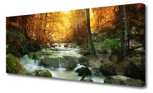 Tablou pe panza canvas Cascada Pietrele Natural Pădurea Brun Galben Gri Alb