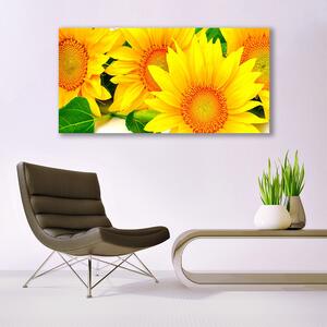 Tablou pe panza canvas Floarea soarelui Floral Galben