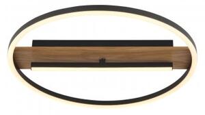 Plafoniera moderna led 24W PIKARA 67321-24 Globo